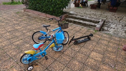 6���E�N���[�v�ނ���ނ���j�I